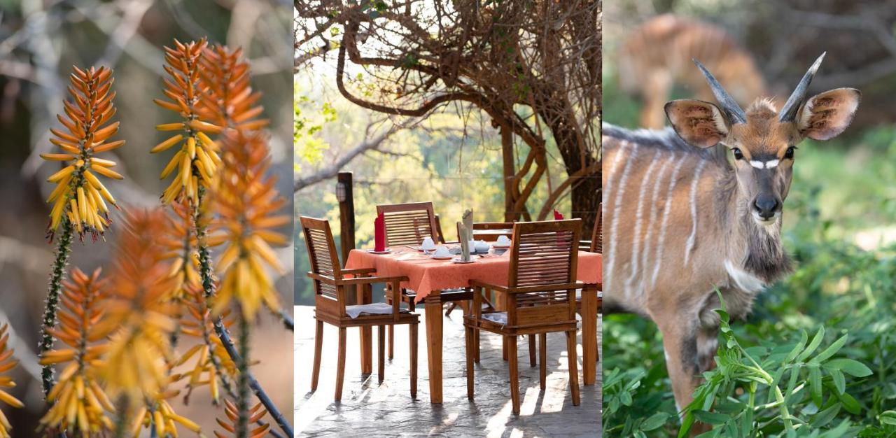 Blyde River Wilderness Lodge Hoedspruit Kültér fotó